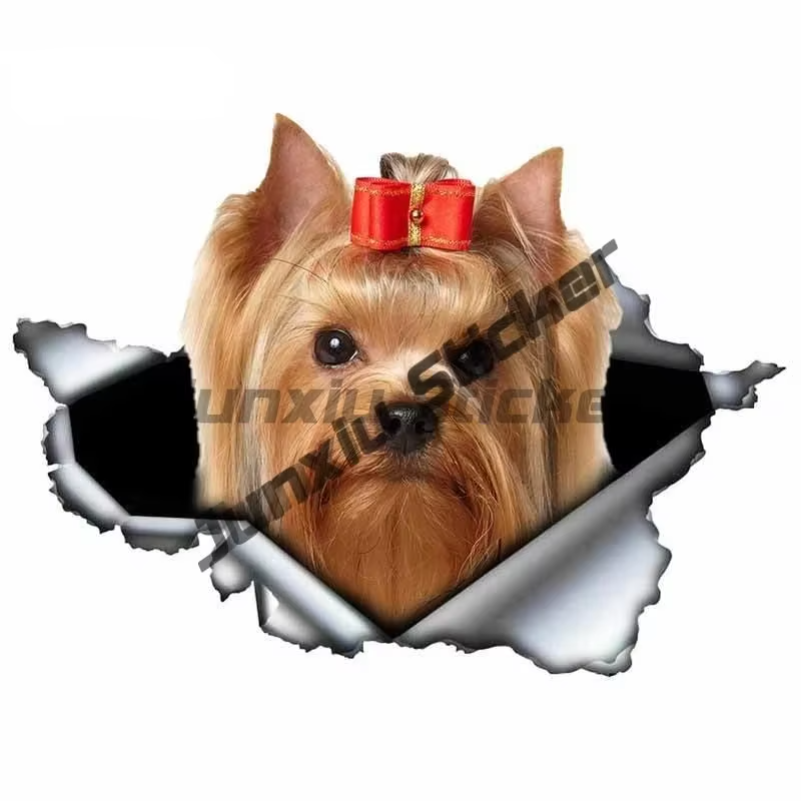 치와와 엄마 비닐 스티커 만화 동물 개 데칼 노트북 텀 - Laptop Accessories Brand 리뷰 및 가격
